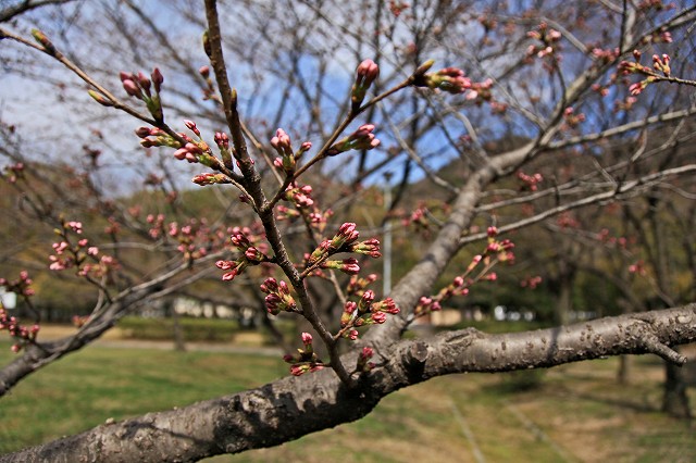 a0242438_19205477.jpg