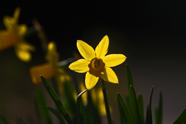 a0242438_1922846.jpg