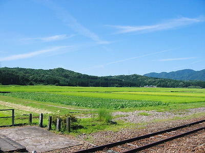 e0022839_050411.jpg