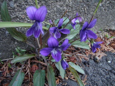 a0054240_23172079.jpg