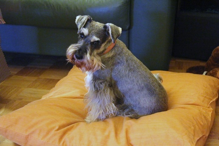 c0153740_0362560.jpg