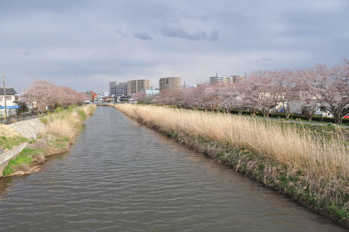 f0204440_0545787.jpg