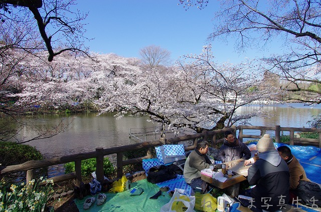 a0009142_10162996.jpg