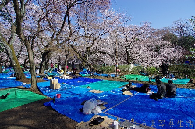 a0009142_101632100.jpg