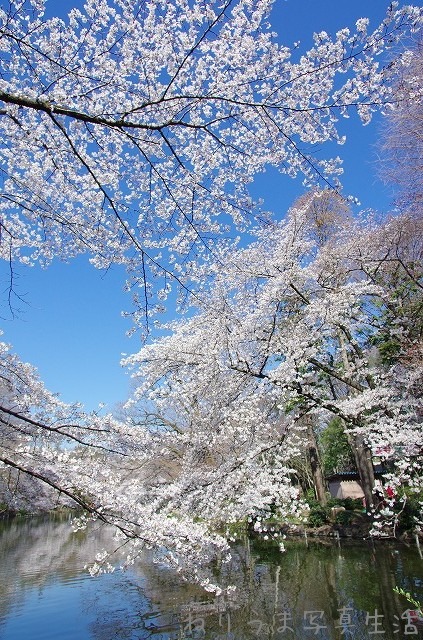 a0009142_10165931.jpg