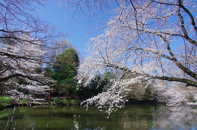 a0009142_1017829.jpg