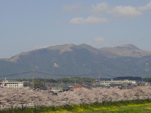 e0164643_2330548.jpg