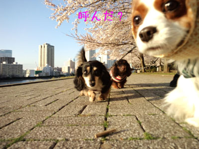 a0120944_1944566.jpg