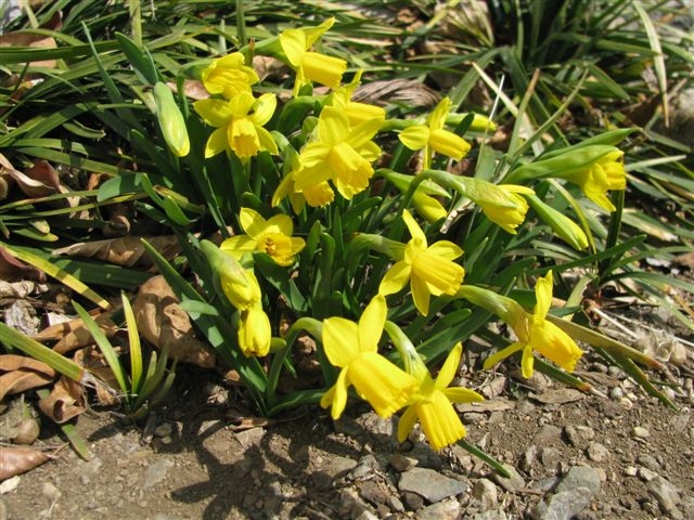 f0151044_1829689.jpg