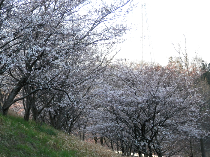 f0214649_8453820.jpg