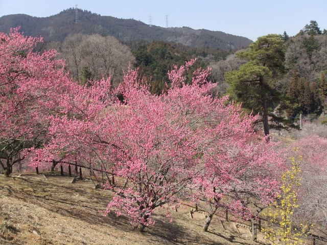 b0169850_21212599.jpg