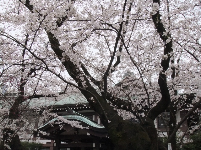 b0169850_21303997.jpg
