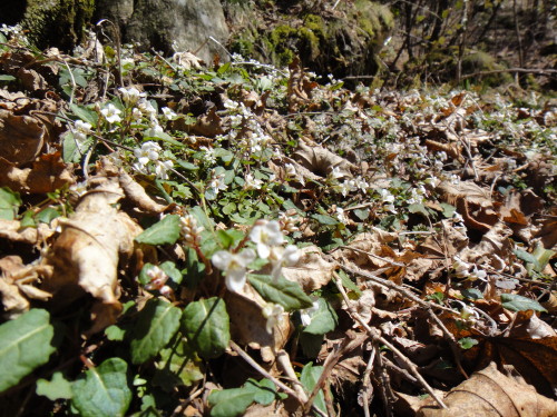 c0179351_17244963.jpg