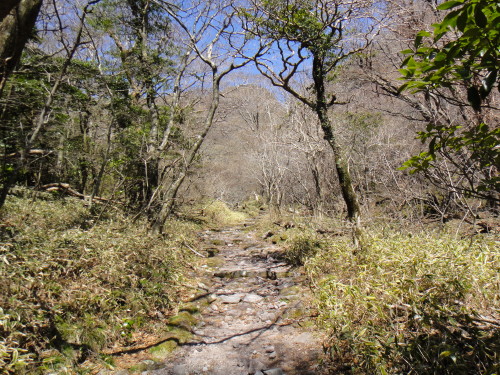 c0179351_1730069.jpg