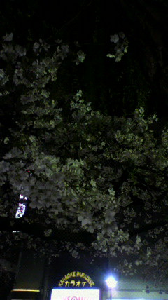 d0175151_022766.jpg
