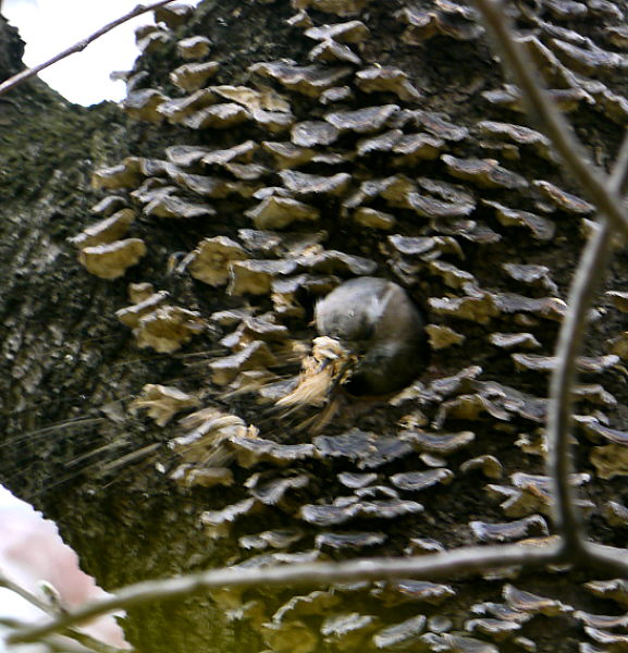d0091754_23532246.jpg