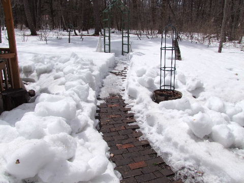 e0088260_12182880.jpg