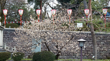 f0027762_17564666.jpg