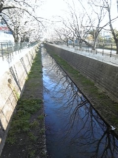 f0222164_7324681.jpg