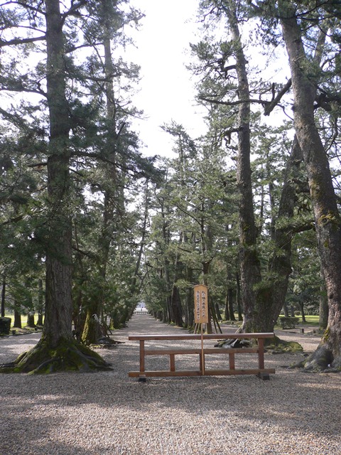 b0223766_20322416.jpg