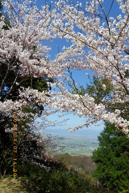 f0016066_2230943.jpg