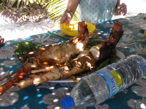 d0150967_040694.jpg