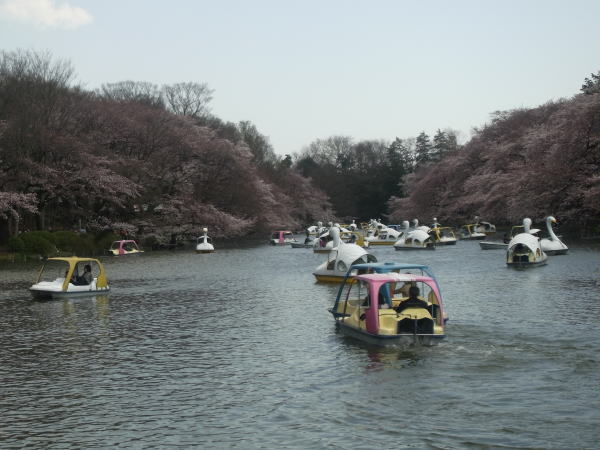 e0153367_16434991.jpg