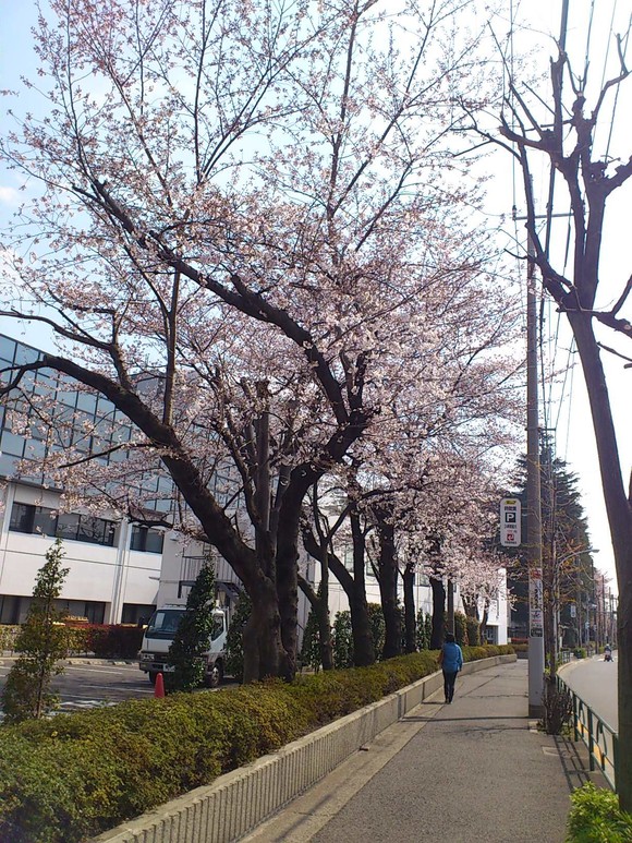 e0212073_2171444.jpg