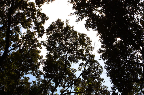 c0204385_23563661.jpg