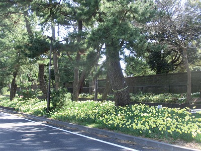 e0123587_21354614.jpg