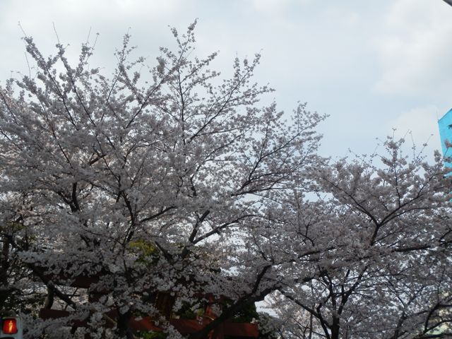f0130894_20165798.jpg