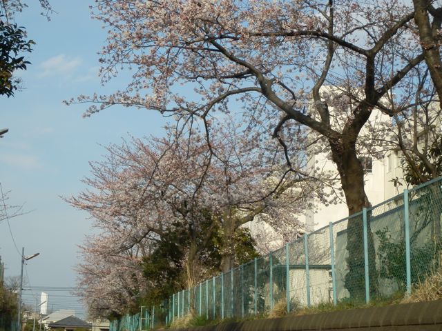 f0130894_20173263.jpg