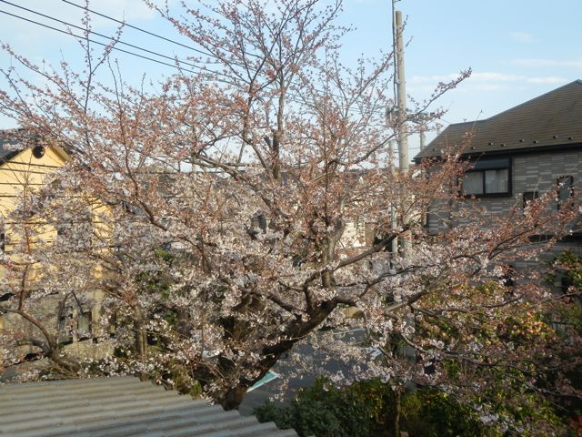 f0130894_20193810.jpg