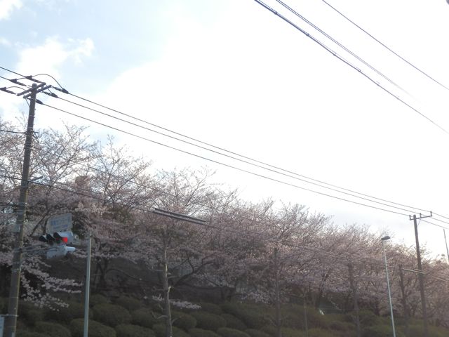 f0130894_20202782.jpg