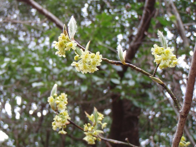 b0039898_11141276.jpg