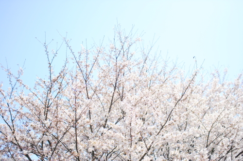 c0129498_15251998.jpg
