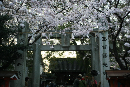 c0129498_15252240.jpg
