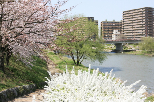 c0129498_152551.jpg