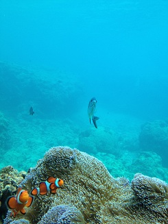 a0144399_22232891.jpg