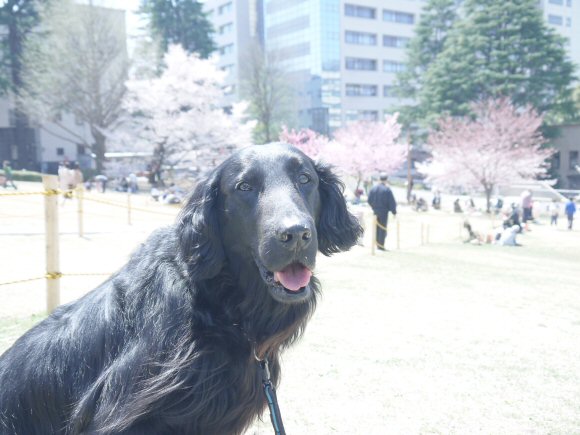 c0050400_2395287.jpg