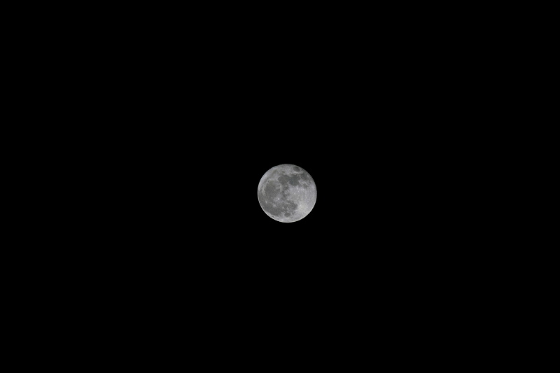 f0083400_2044146.jpg