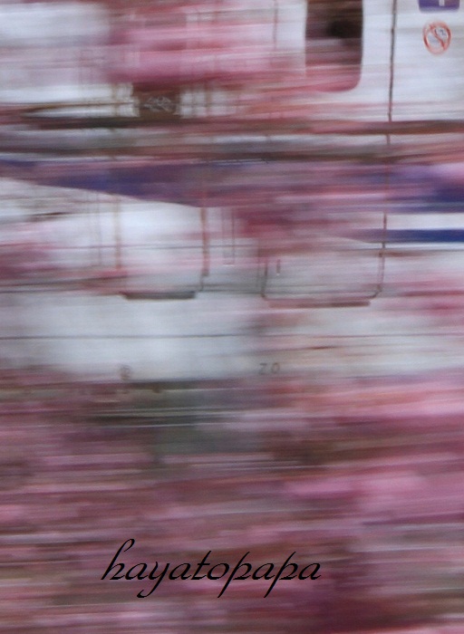 a0223601_1954502.jpg