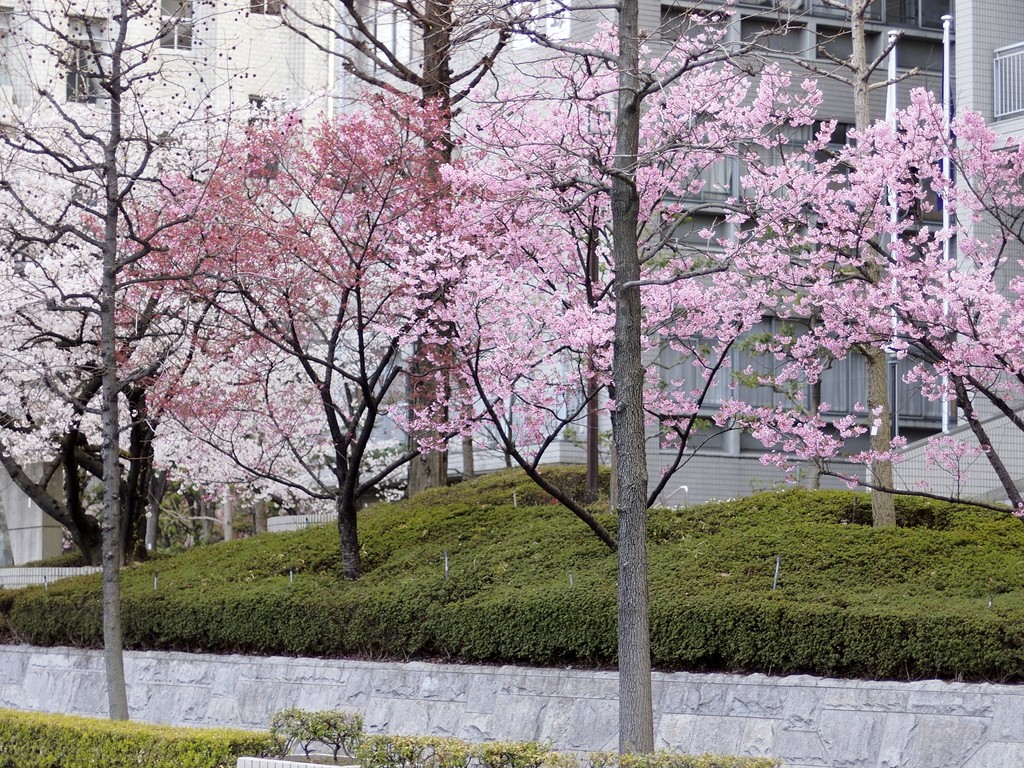 b0138101_7375111.jpg