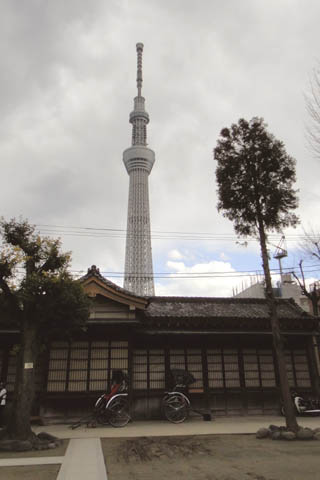 d0004301_2323559.jpg