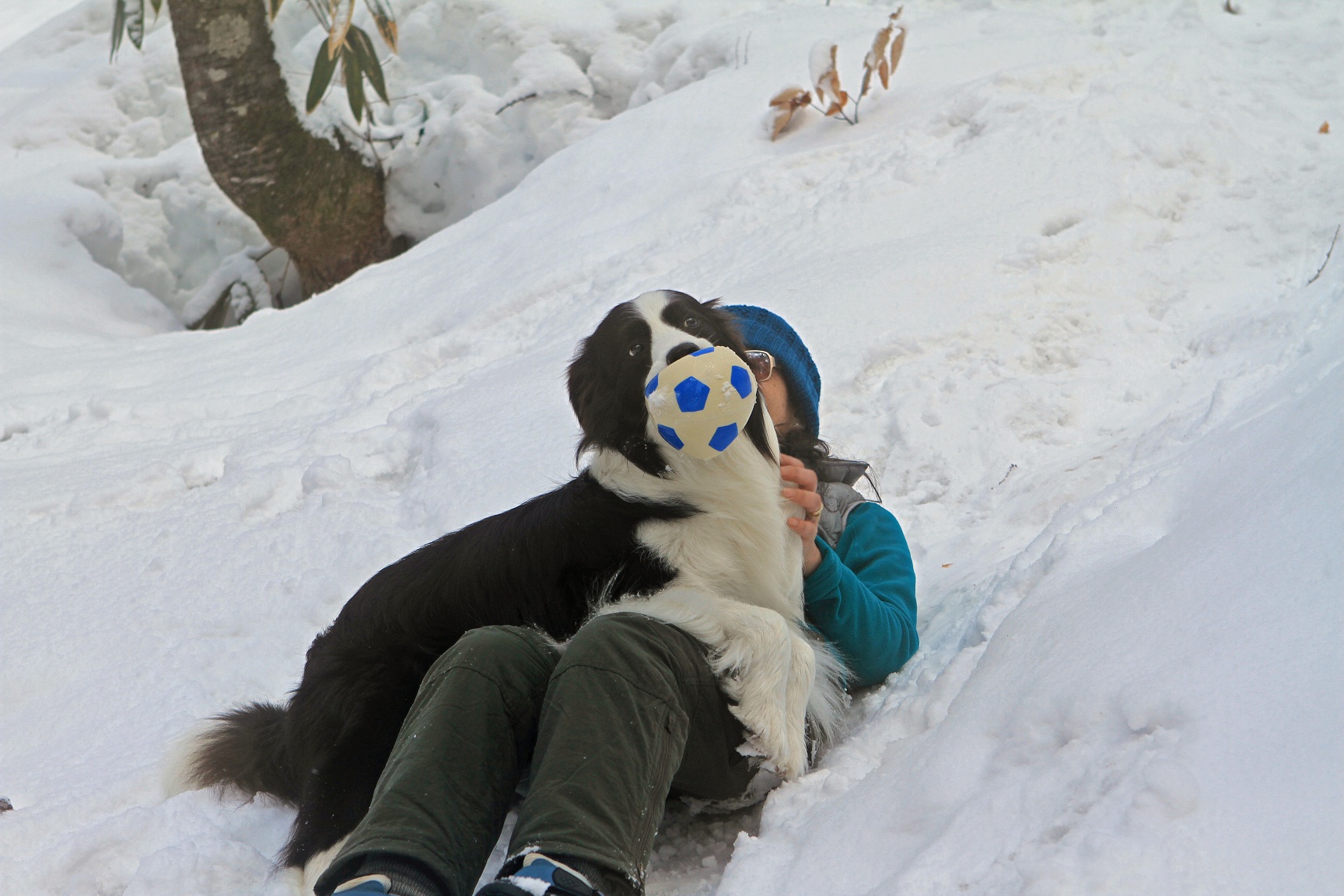 f0034602_20115927.jpg