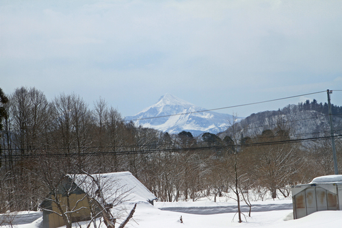 f0034602_20174033.jpg