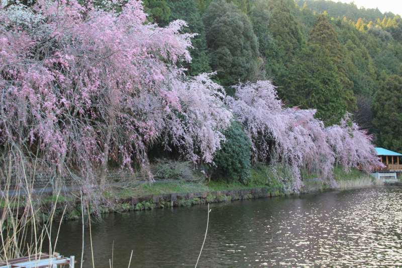 a0188405_875096.jpg