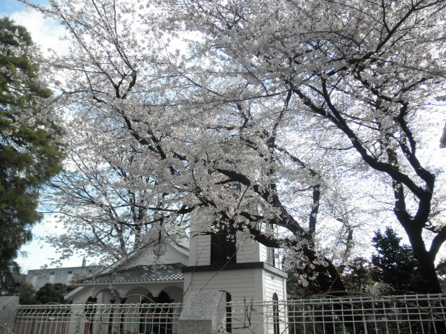 c0152507_4274349.jpg