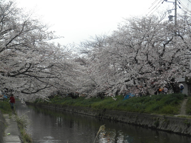 c0152507_4354637.jpg