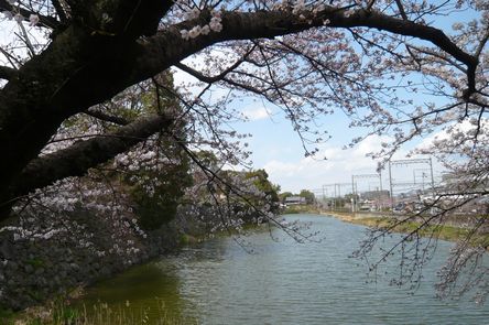 f0221708_229487.jpg